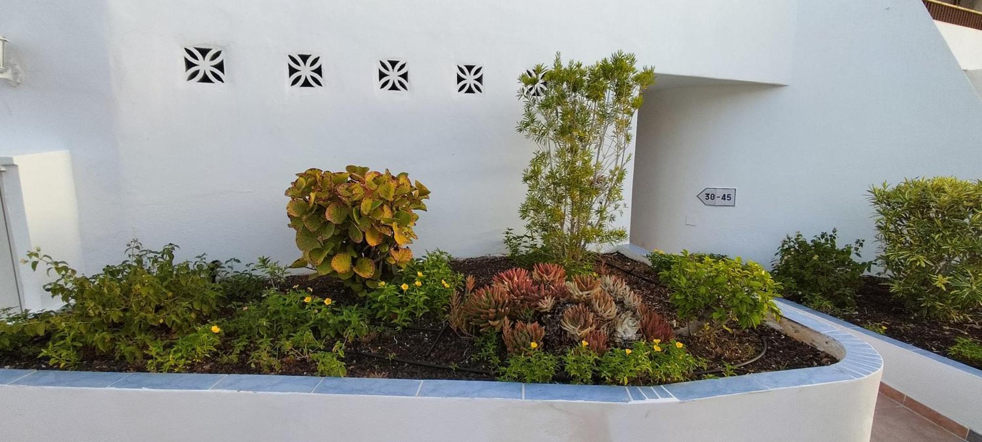 Ocean View Near The Beach Costa Adeje Exterior photo